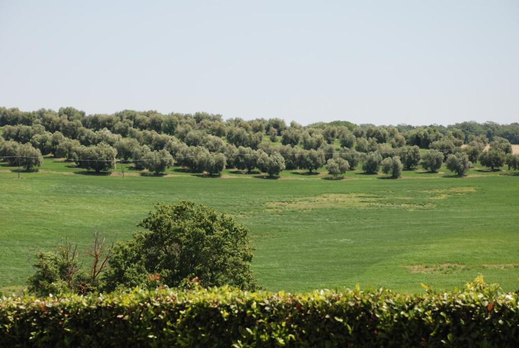Agriturismo Le Coccinelle Guest House Magliano in Toscana Exterior foto