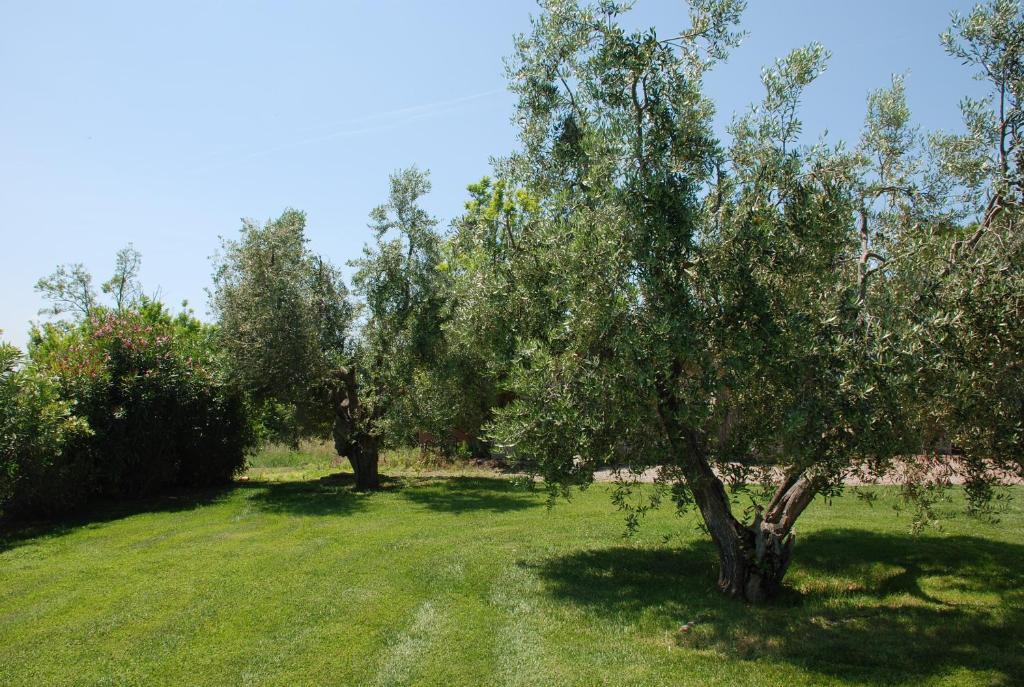 Agriturismo Le Coccinelle Guest House Magliano in Toscana Exterior foto