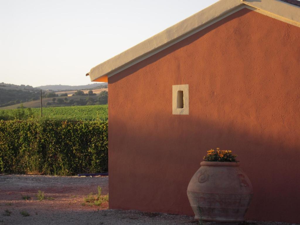 Agriturismo Le Coccinelle Guest House Magliano in Toscana Exterior foto