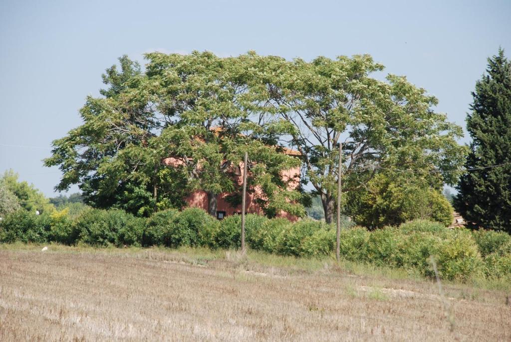 Agriturismo Le Coccinelle Guest House Magliano in Toscana Exterior foto