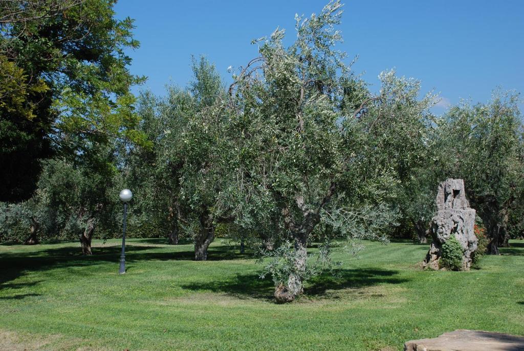 Agriturismo Le Coccinelle Guest House Magliano in Toscana Exterior foto