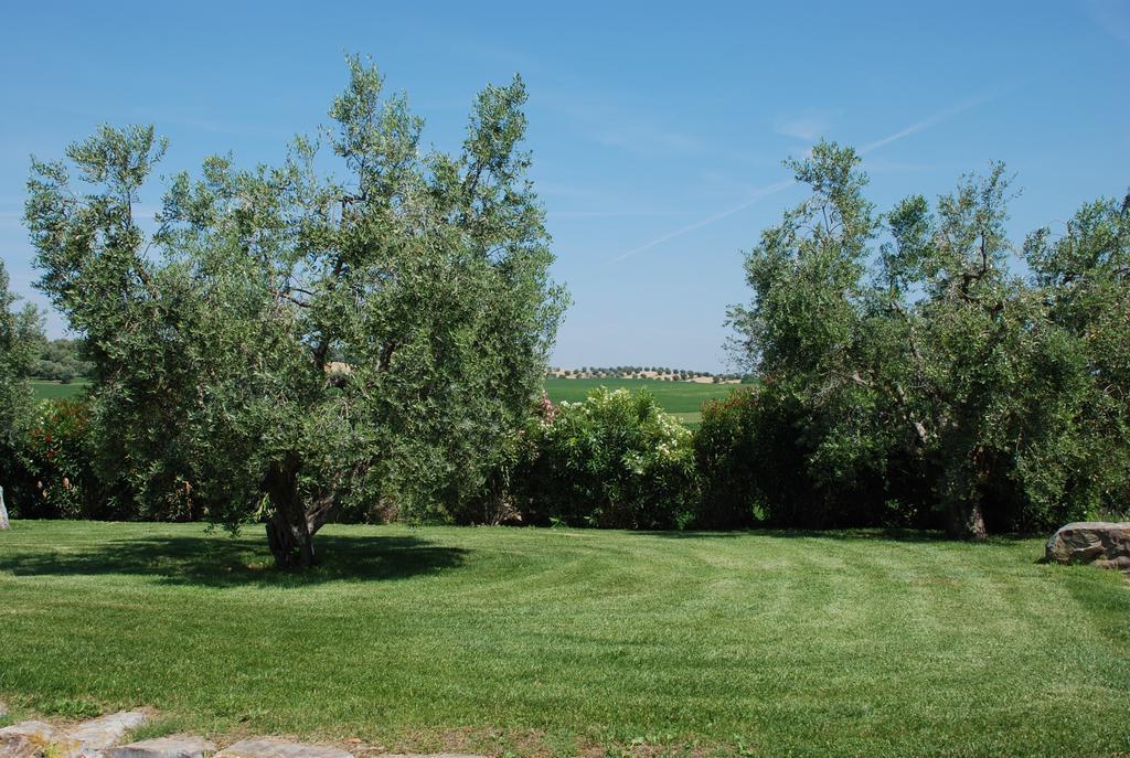 Agriturismo Le Coccinelle Guest House Magliano in Toscana Exterior foto