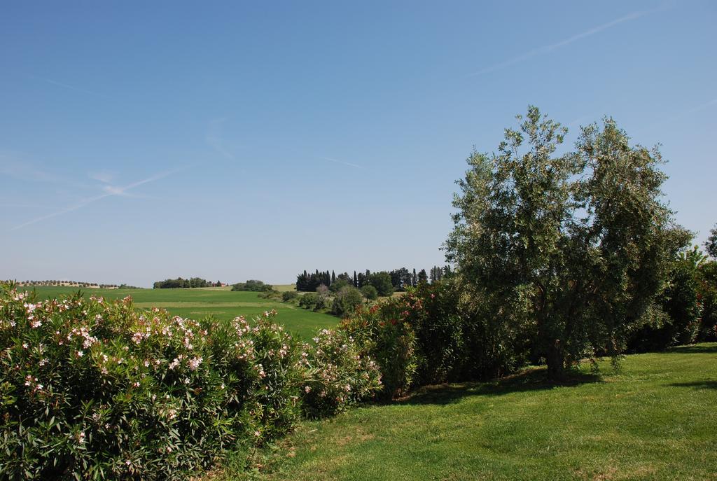 Agriturismo Le Coccinelle Guest House Magliano in Toscana Exterior foto