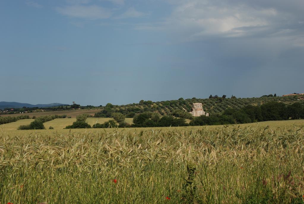 Agriturismo Le Coccinelle Guest House Magliano in Toscana Exterior foto