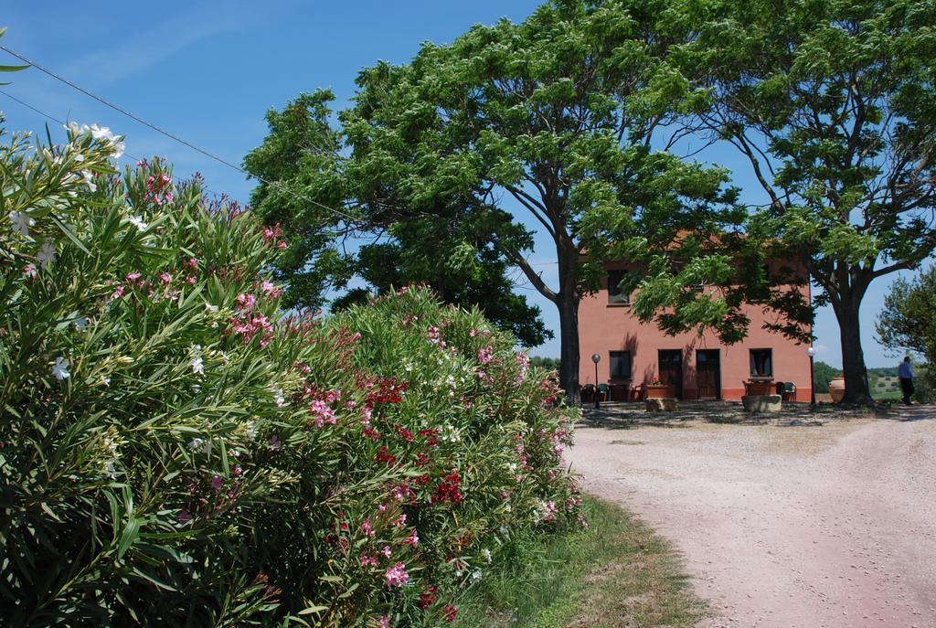 Agriturismo Le Coccinelle Guest House Magliano in Toscana Exterior foto